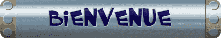 bienvenue10.gif