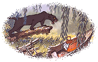 disneyjunglelleodis.gif