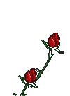 diverstworosesopen.gif