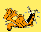 garfield05.gif