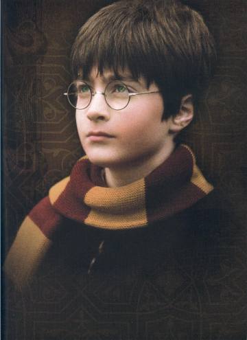 harrypotter32.jpg