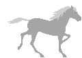 horse3.gif