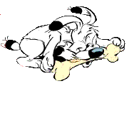 idefix1.gif