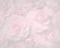 momroses.jpg