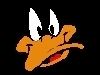 wbdaffy.1.gif