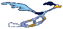 wbroadrunner.gif
